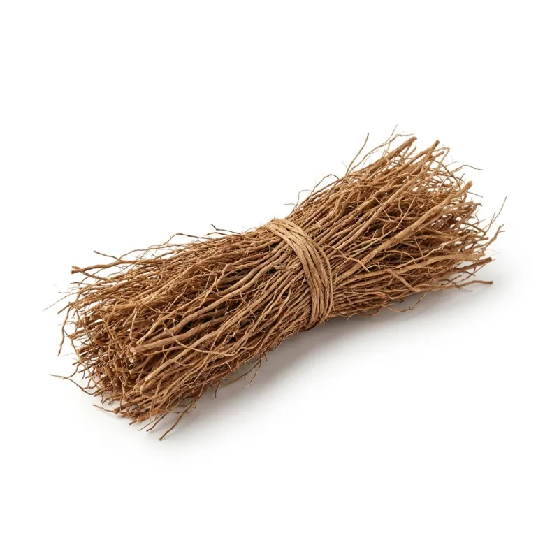 نجيل الهند